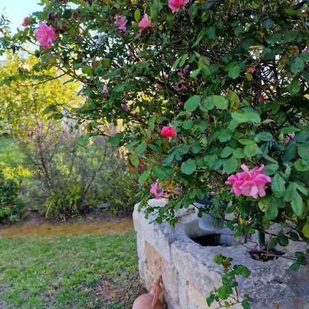 Attico Nel Cuore Del Salento, Un'oasi Di Relax *